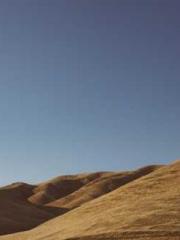 The Ugly Womanapos;s