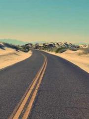 Super husband Lin Xi