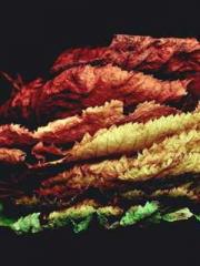 Billions of Blessing