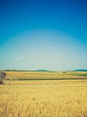 lt;Heavenly Fire Dyn