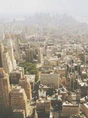 The Imperial Concubi