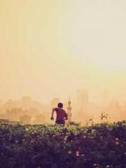 lt;lt;lt;Visionary S