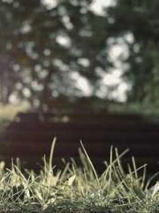 Becoming a Farm Girl