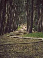 lt;lt;The Trash Husb