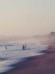 lt;lt;lt;The Peerles