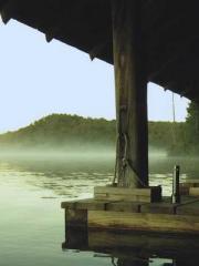 The Daring Wife of a