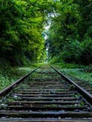 Su He Huo Chen Xi Fu