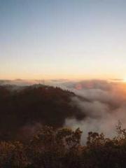 RONG Zhaonan NING Yu