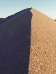 Fu Zi Mo Qin Luo Yan