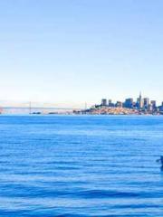 Double Blessing: CEO